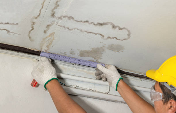 Reliable Structural Drying contractor in Thompsonville, MI by Water Damage Irwin